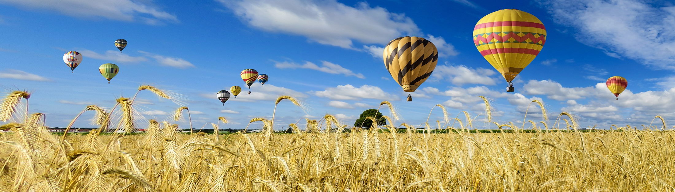 Heißluftballons über einem Kornfeld